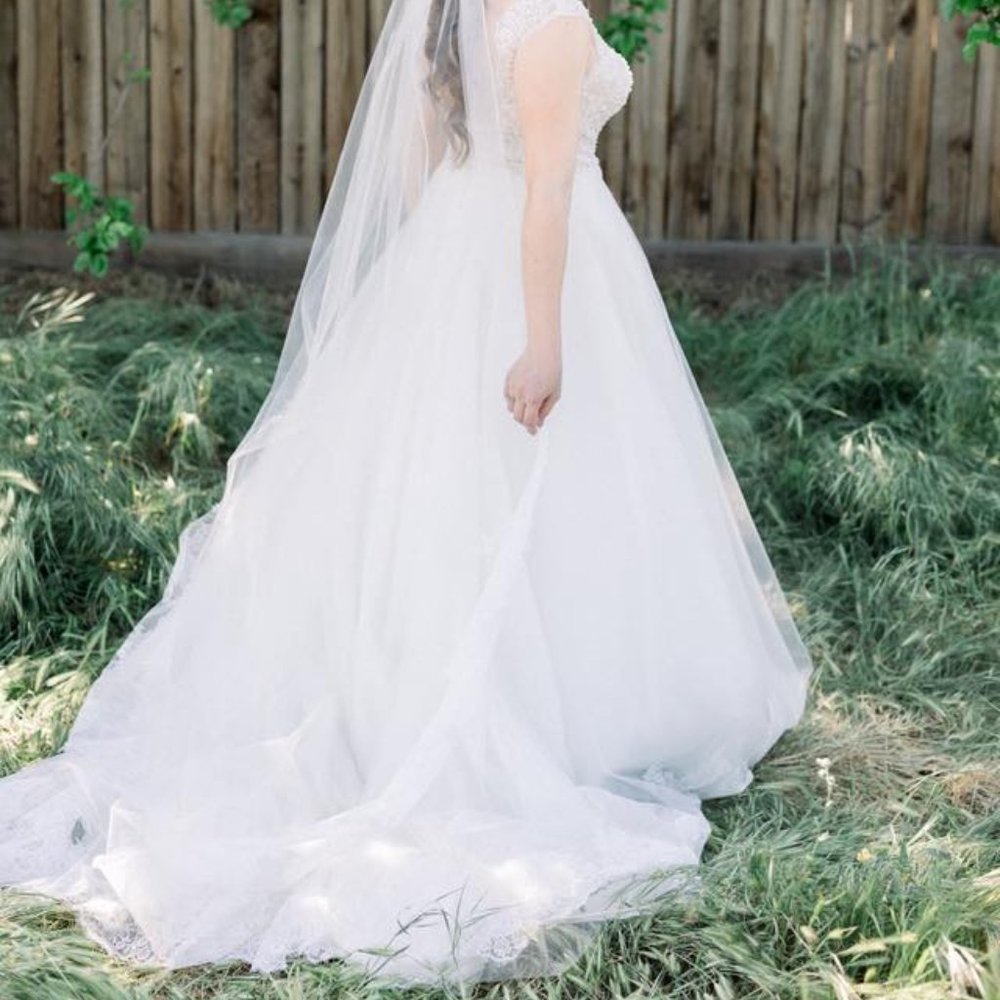 Cathedral Lace Wedding Veil